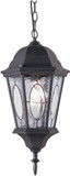 Trans Globe 4717 BK Villa Nueva Traditional Black Outdoor Pendant Lighting Fixture
