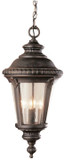 Trans Globe 50491-RT Commons Traditional Black Exterior Drop Lighting Fixture