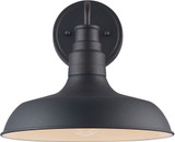 Trans Globe 51640 RT Tinley Vintage Rust Outdoor Wall Light Sconce