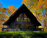 Troy B1322-TBK Presley Contemporary Textured Black Outdoor 18" Lighting Wall Sconce