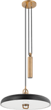 Troy F1618-PBR/SBK Plummet Contemporary Patina Brass LED Pendant Lamp