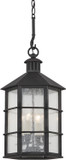 Troy F2526-FRN Lake County Traditional French Iron Exterior Ceiling Pendant Light