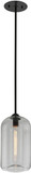 Troy F5561-SBK District Modern Satin Black W/Clear Glass Mini Hanging Light Fixture