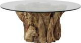 Uttermost 22876 Driftwood Contemporary Teak Wood Glass Top Large Coffee Table