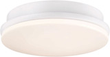Fanimation Matte White Light Kit - LK8534MW