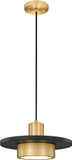 ZLT-829P12-MB-MGLD-LED