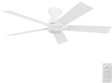 CAR-SFR525J1-L11-W1-1-FM