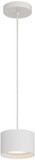 ACC-29300LEDDCS-WH-ACR