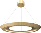 ACD-1605LED