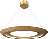 ACD-1606LED