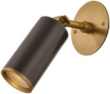 Troy Lighting B1309-PBR/BRZ Caleb Modern Patina Brass / Bronze Swing Arm Wall Lamp