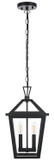 Elegant Lighting OD334H17BK Frankford Black 10" Exterior Pendant Light