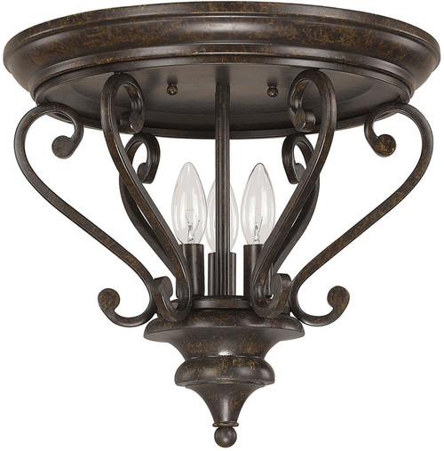 Capital Lighting Ceiling Lights