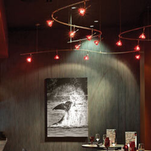 Contemporary Monorail Lighting