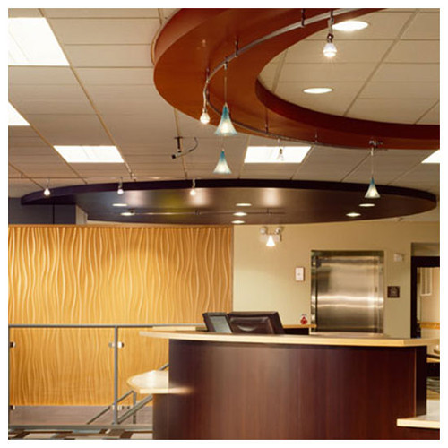 Visual Comfort Modern Two Circuit Monorail