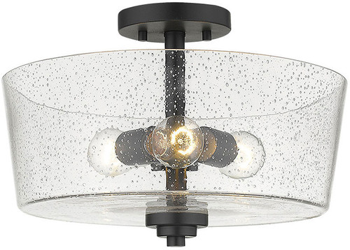 Acclaim Lighting Ceiling Lights