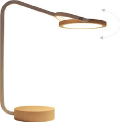 Contemporary Desk Lamps
