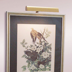 Picture Lights + Display Lights