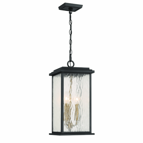 Artcraft AC9275BK Estate Contemporary Black / Brass Exterior Pendant Light