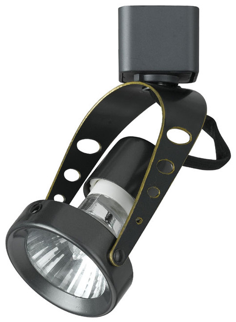 Cal HT969 Dual Arm Contemporary Line Voltage Track Lighting Fixture Head