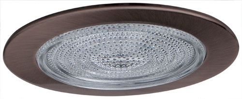 Elco EL913BZ Modern Bronze Medium Base 4" Recessed Light Shower with Fresnel Lens Mini Recessed Lighting