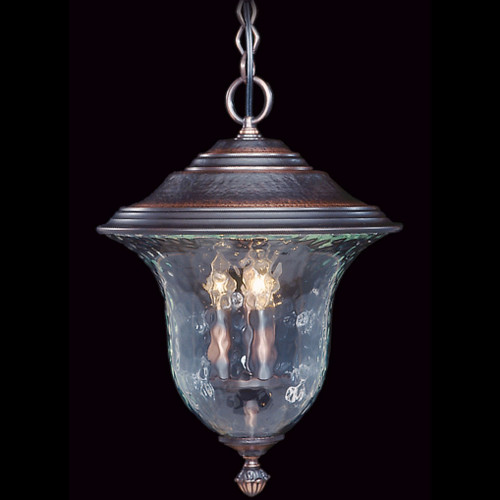 Framburg 8331 Carcassonne Traditional Exterior 13.5" Hanging Pendant Light
