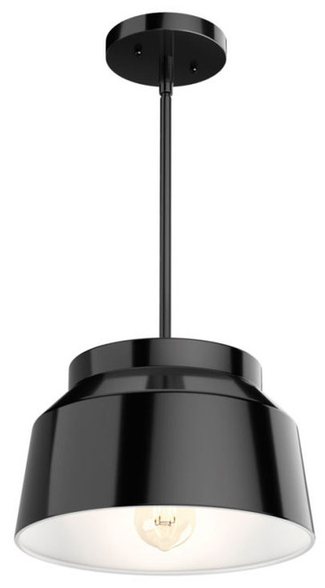 Hunter Lighting 19025 Cranbrook Matte Black Mini Ceiling Light Pendant