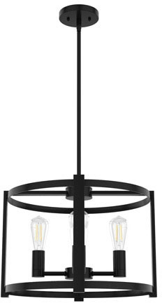 Hunter Lighting 19133 Astwood Contemporary Matte Black Lighting Pendant