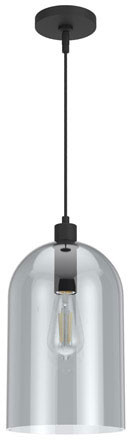 Hunter Lighting 19204 Lochemeade Modern Natural Iron Mini Drop Lighting Fixture