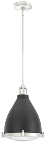 Hunter Lighting 19218 Bluff View Flat Matte Black Mini Hanging Light