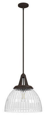 Hunter Lighting 19252 Cypress Grove Contemporary Onyx Bengal Pendant Light
