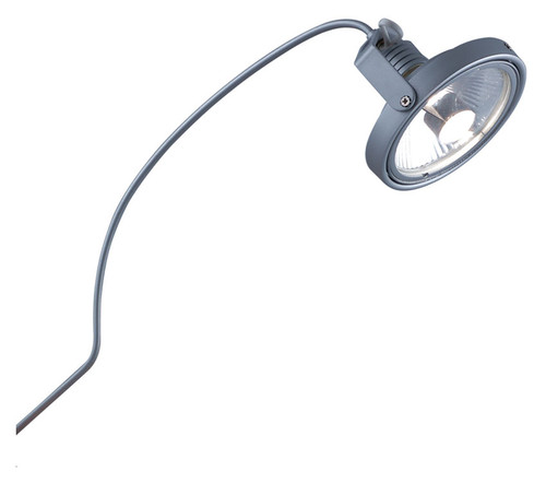 Jesco AHCR155-STST Otis Steel Arm Satin Chrome Clamp Arclight 18 Inch Long Picture Lighting