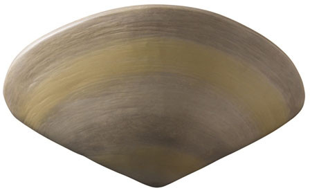 Justice Design CER-3710 Ambiance Clam Shell Nautical Ceramic LED Wall Light Sconce
