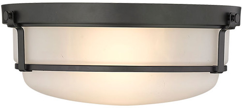 Millennium 4662-MB Arlson Contemporary Matte Black Ceiling Lighting Fixture