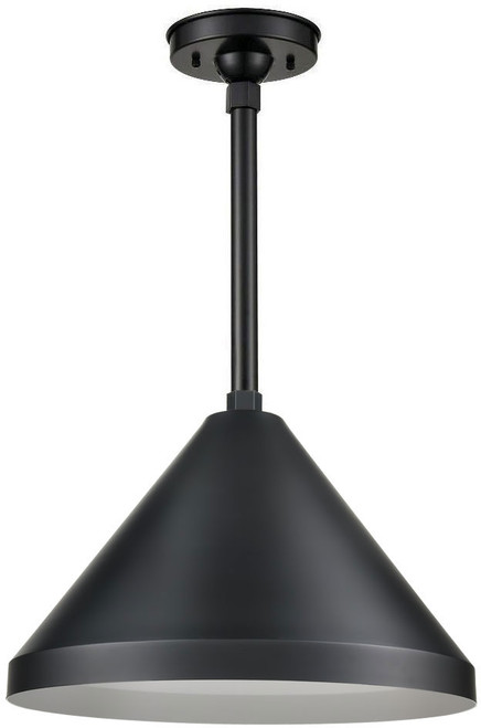 Millennium RWCS17-SB-PENDANT R Series Vintage Satin Black 17" Outdoor Pendant Lighting