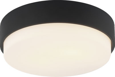 Matteo M13202MB Quintz Contemporary Matte Black 12" Ceiling Light Fixture