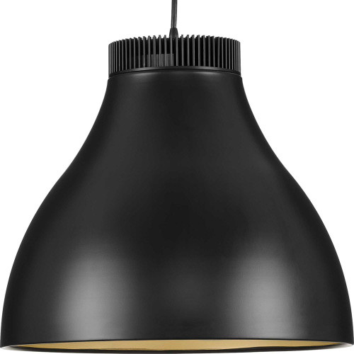 Progress P500373-31M-30 Radian LED Contemporary Matte Black LED 30" Hanging Light