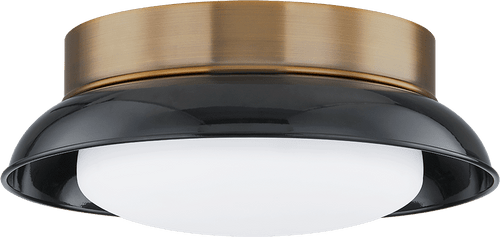 Troy C2014-PBR/GBK Arnie Modern Patina Brass Ceiling Light Fixture