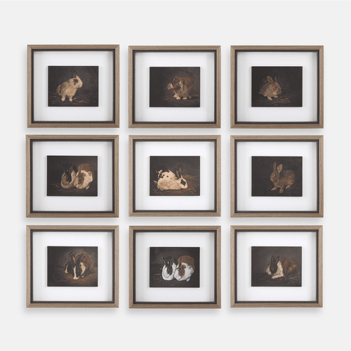 Uttermost 32386 Resting Bunny Contemporary Wall Art