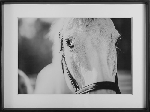 Uttermost 41464 Eyes On The Prize Modern Wall Décor Framed Print