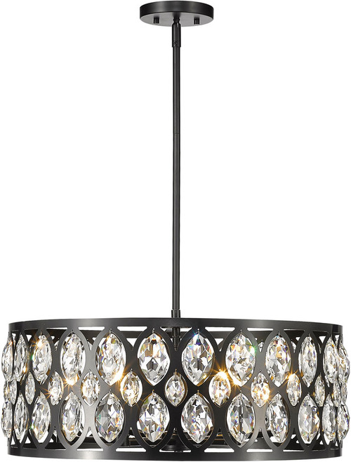 Z-Lite 6010-24MB Dealey Matte Black Drum Hanging Light