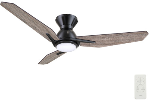 CAR-SFR523J3-L11-BS-1-FM