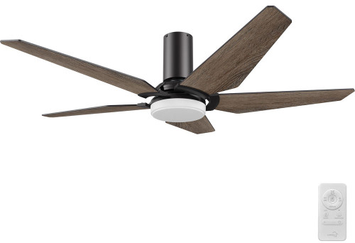 CAR-SFR525B-L22-BG-1-FM