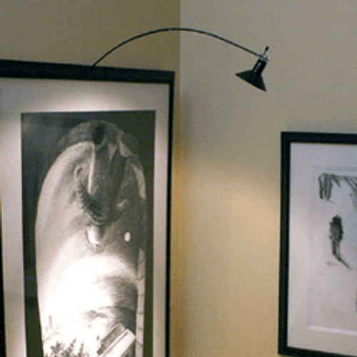 Transitional Picture & Display Lights