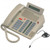 Nortel Meridian M5216
