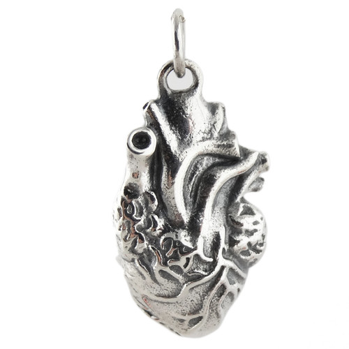 3D Anatomical Human Heart Charm Pendant - 925 Sterling Silver - Love Lifelike