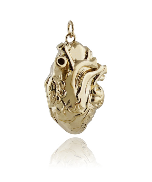 Anatomical Heart Locket - 14k Gold plated Sterling Silver Anatomical Heart Locket - 14k Gold plated Sterling Silver