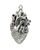 Anatomical Heart Locket - 925 Sterling Silver - Love Lifelike Human Pendant