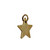 Star Charm Pendant - Bronze