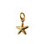 Satin 24K Gold Plated Textured Starfish Charm 14x8mm